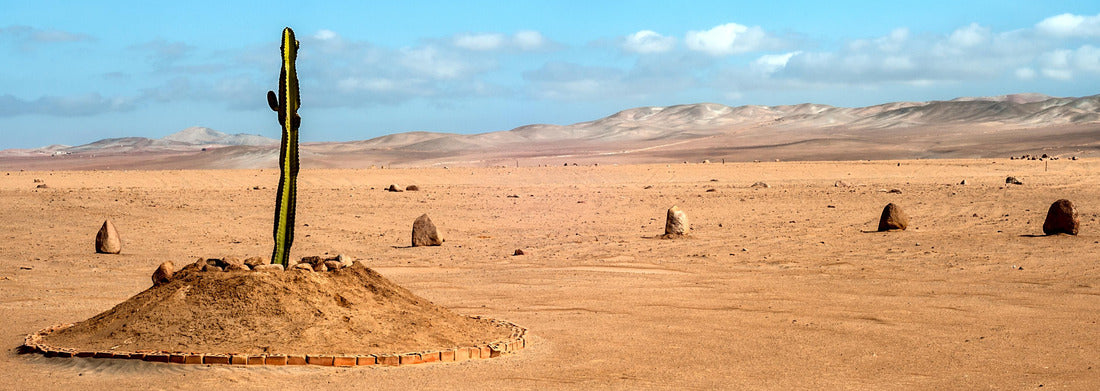 The only plant over many kilometers in the desert region of Tacna, Peru, 1000pc Panoramic Puzzle