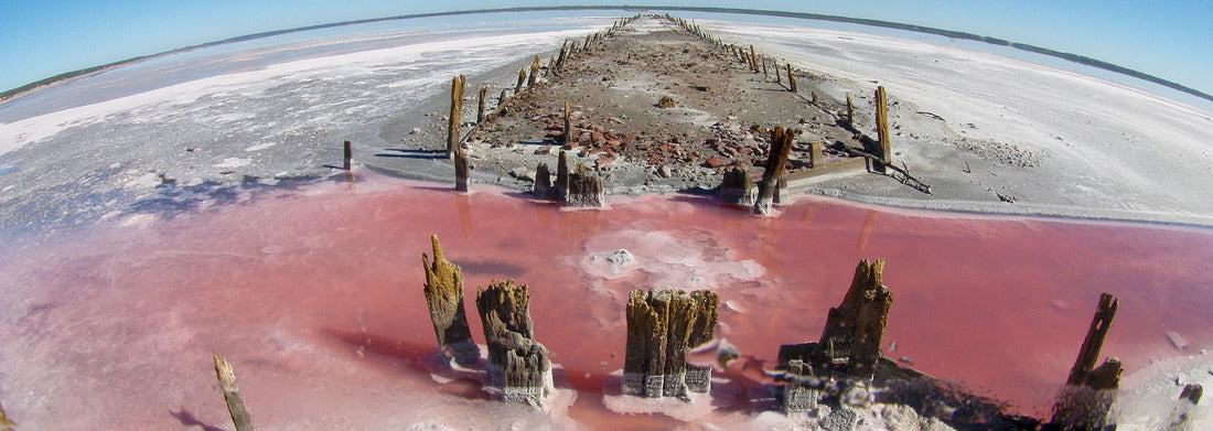 Noah Jigsaw Puzzle Salt lagoon, La Pampa, Argentina, Panorama Panorama 1000 Pieces