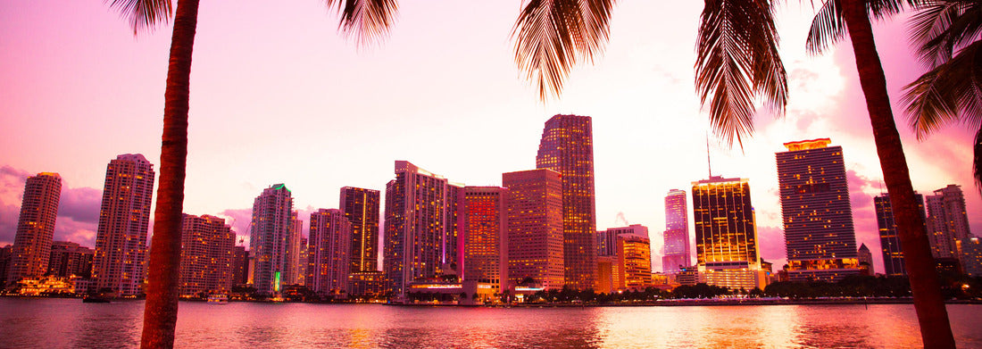 Noah Jigsaw Puzzle Miami Skyline, Florida, Panorama Panorama 1000 Pieces