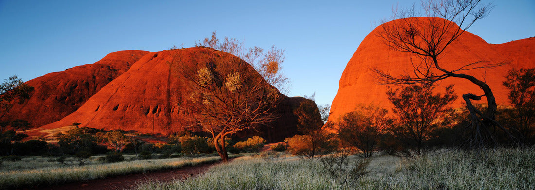 Noah Jigsaw Puzzle Australia landscape: Red rock of Alice Spring, Yulara, Mutitjulu, Northern Territory, panorama Panorama 1000 Pieces