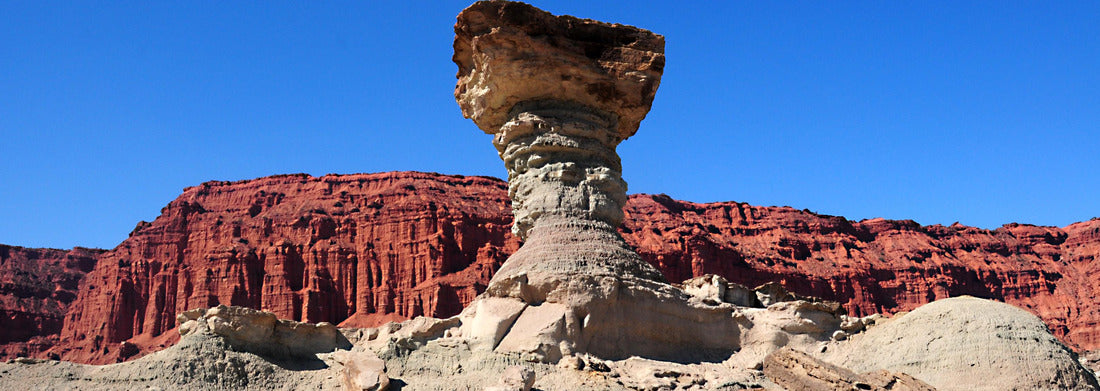 Noah Jigsaw Puzzle View of the El Hongo formation in Ischigualasto Provincial Park or Valle de la Luna, San Juan, Argentina, panorama Panorama 1000 Pieces