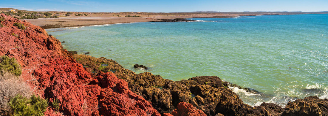 Noah Jigsaw Puzzle Seacoast landscape of Punta Tombo, Patagonia, Argentina, panorama Panorama 1000 Pieces