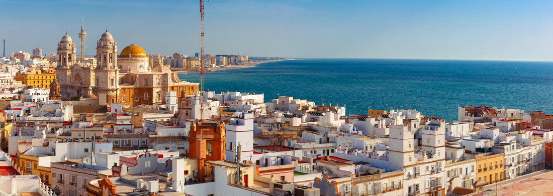 Noah Jigsaw Puzzle Roofs of the old town and the Cathedral de Santa Cruz in the morning from the tower Tavira in Cadiz, Andalusia, Spain, panorama Panorama 1000 Pieces