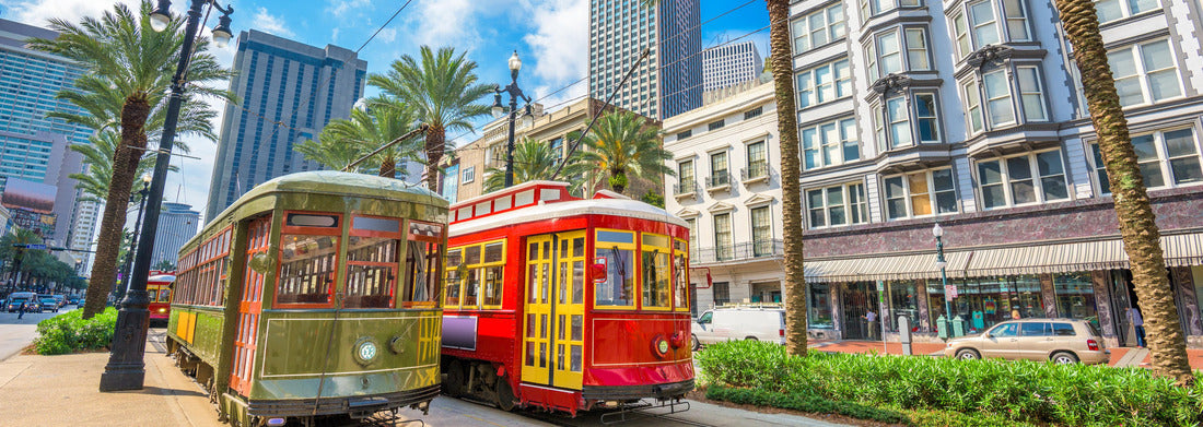 Noah Jigsaw Puzzle New Orleans, Louisiana, panorama Panorama 1000 Pieces