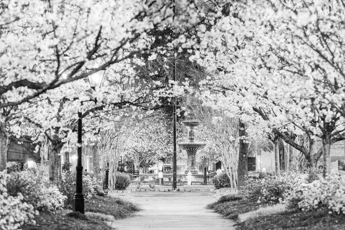 Macon, Georgia, USA in the spring 2000pc PuzzleBlack and White