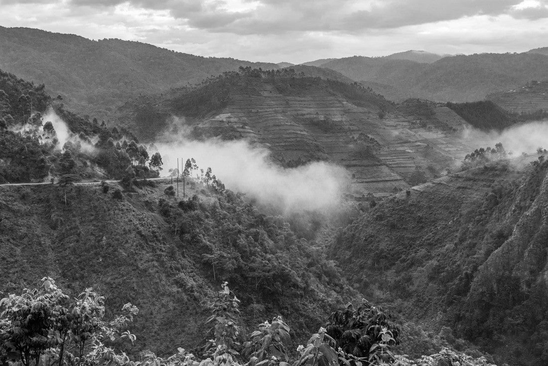 Beautiful landscape in southwestern Uganda, at the Bwindi Impenetrable Forest National Park, at the borders of Uganda, Congo and Rwanda. The Bwindi National Park is the home of the mountain gorillas 2000pc PuzzleBlack and White
