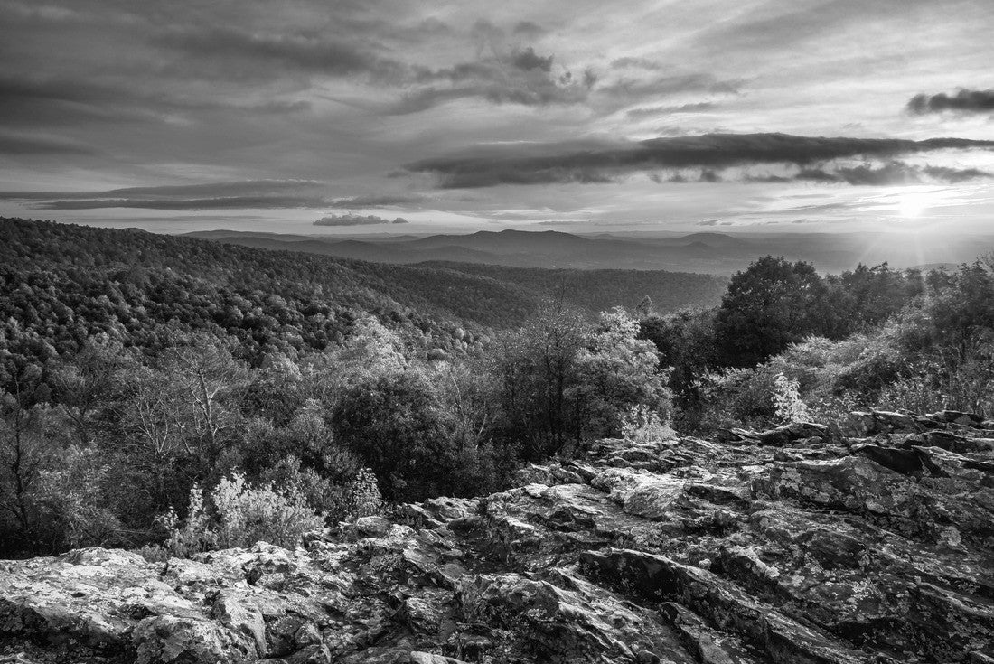 Noah Jigsaw Puzzle Autumn Dawn at Shenandoah National Park in black white 2000 pieces