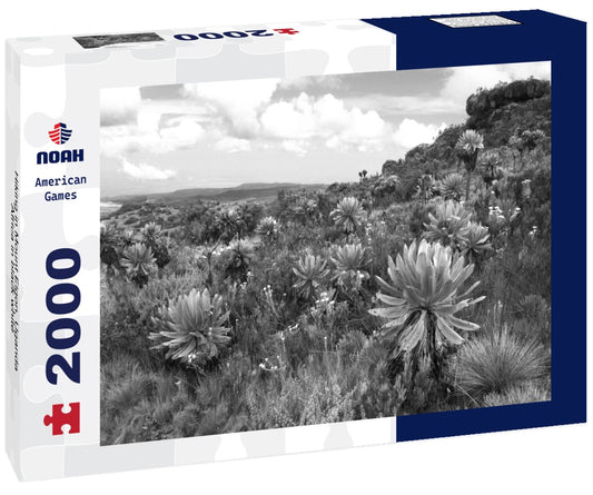 Noah Jigsaw Puzzle Hiking in Mount Elgon, Uganda, Africa in black white 2000 pieces