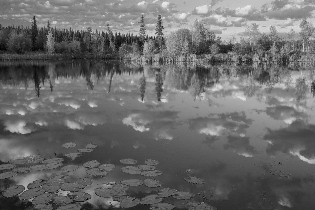 Sunsets at Hidden Lake Territorial Park, Northwest Territories, Canada 2000pc PuzzleBlack and White
