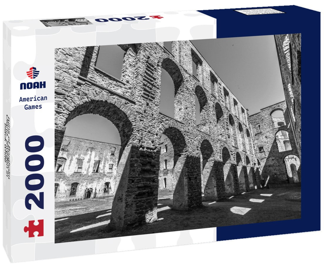 ruins of Borgholm, Oland, Sweden 2000pc PuzzleBlack and White