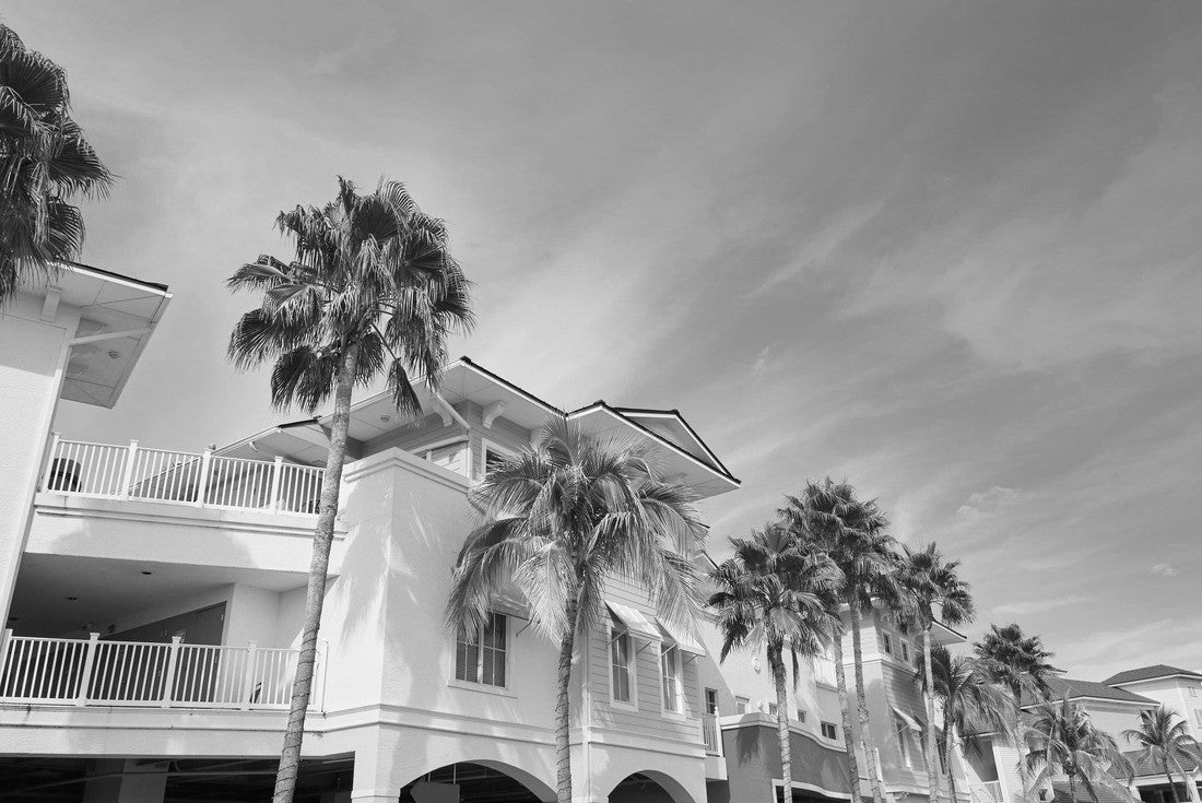 Florida Fort Myers colorful facades and palm trees in the USA 2000pc PuzzleBlack and White