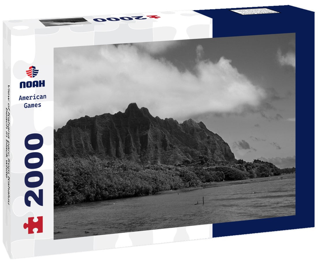 Noah Jigsaw Puzzle View of Kahana parc from Kahaluu beach in black white 2000 pieces