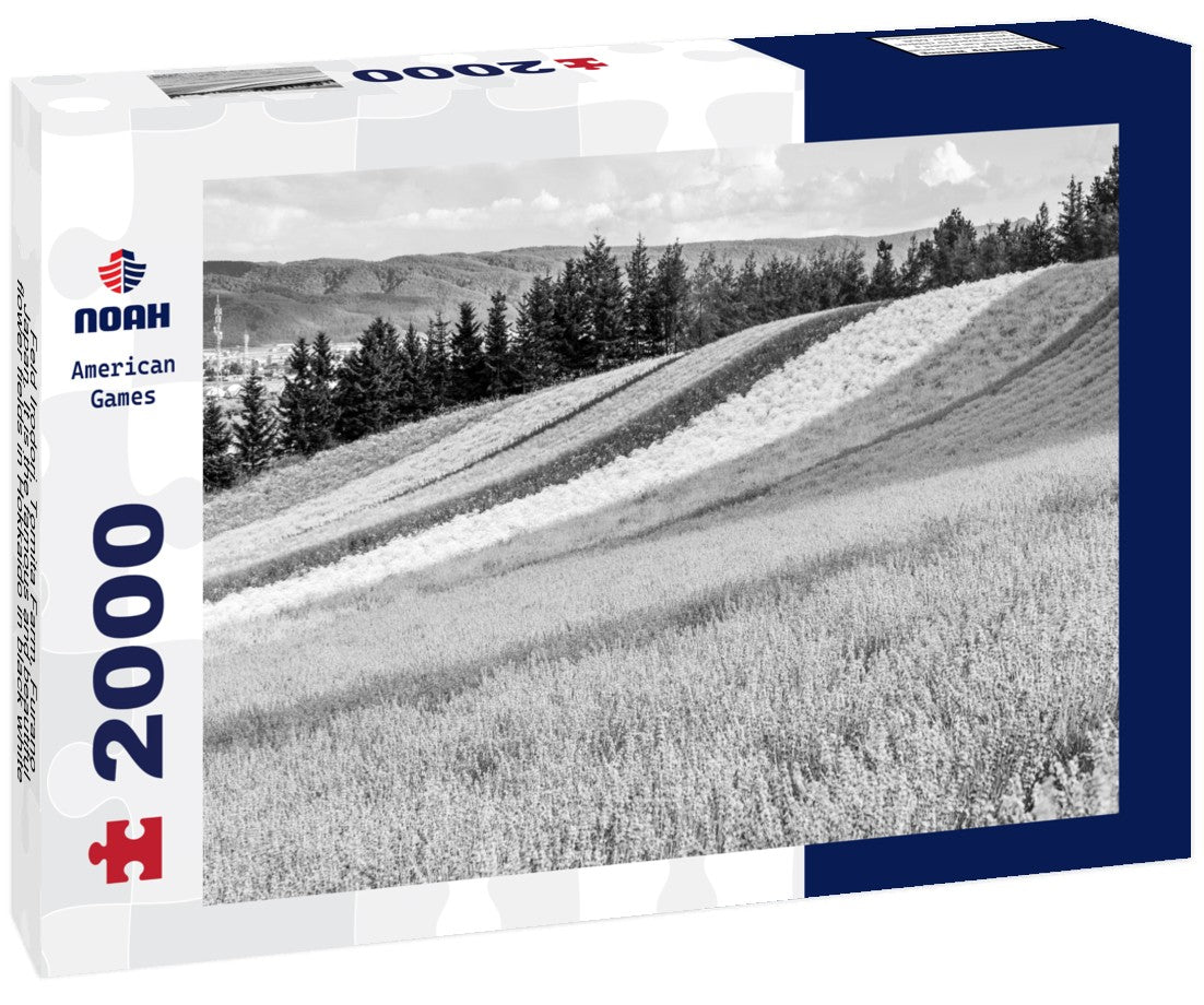 Feld Irodori, Tomita Farm, Furano, Japan. It is the famous and beautiful flower fields in Hokkaido 2000pc PuzzleBlack and White