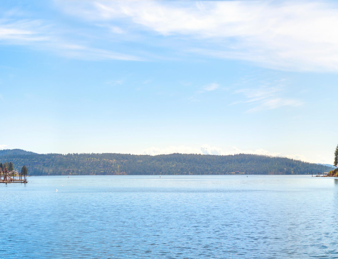 Noah Jigsaw Puzzle A panoramic view of Lake Coeur d'Alene, Idaho, USA with waterfront homes, docks and marina at Rockford Bay 1000 Pieces