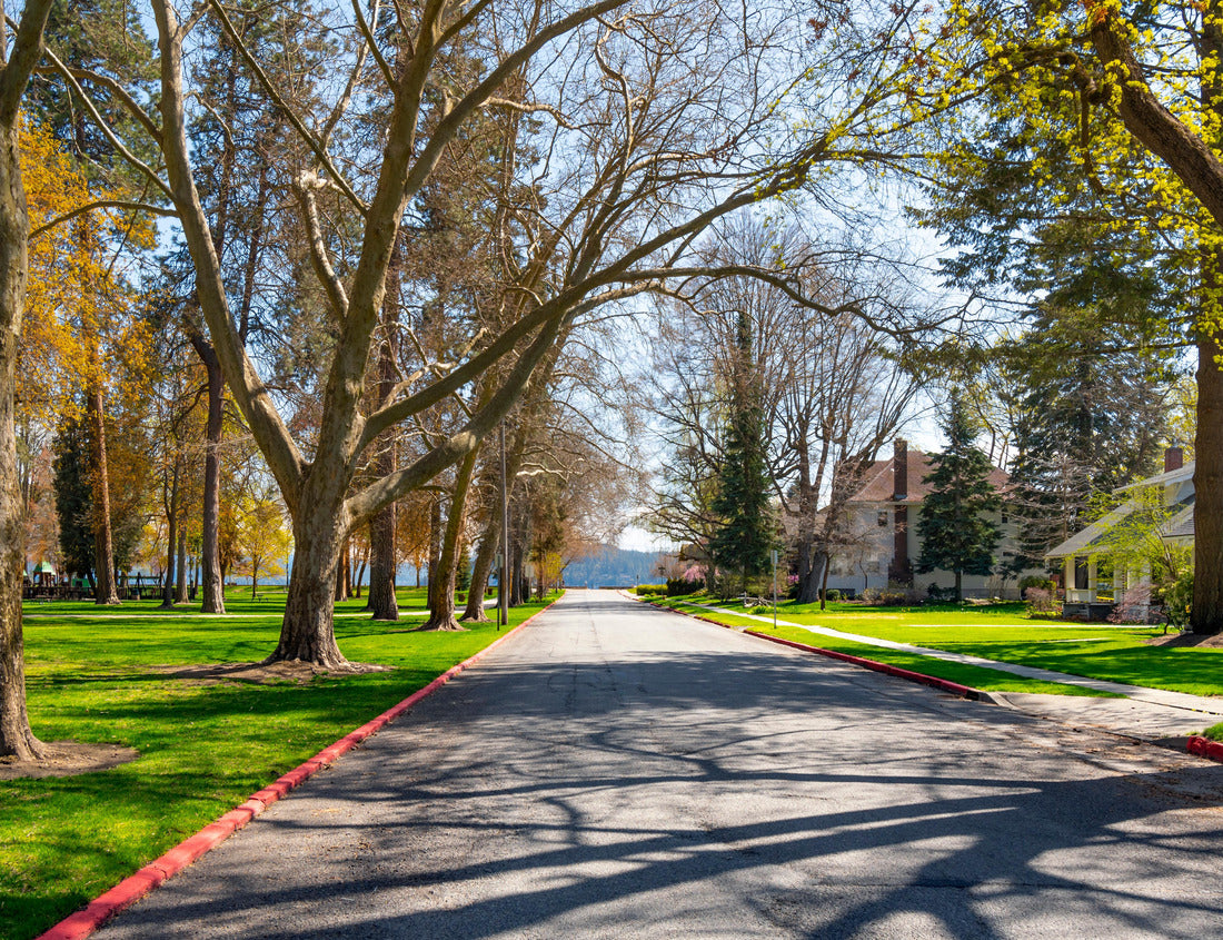 Noah Jigsaw Puzzle A shady, tree-lined street of Victorian and historic homes across from the city park with the lake in the historic Fort Grounds neighborhood of Coeur d'Alene, Idaho, USA 1000 Pieces