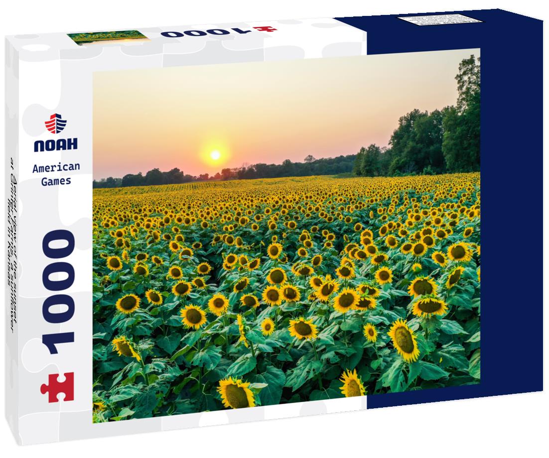 Noah Jigsaw Puzzle Aerial view of the sunset at Grinter Farms, a sunflower field in Kansas 1000 Pieces