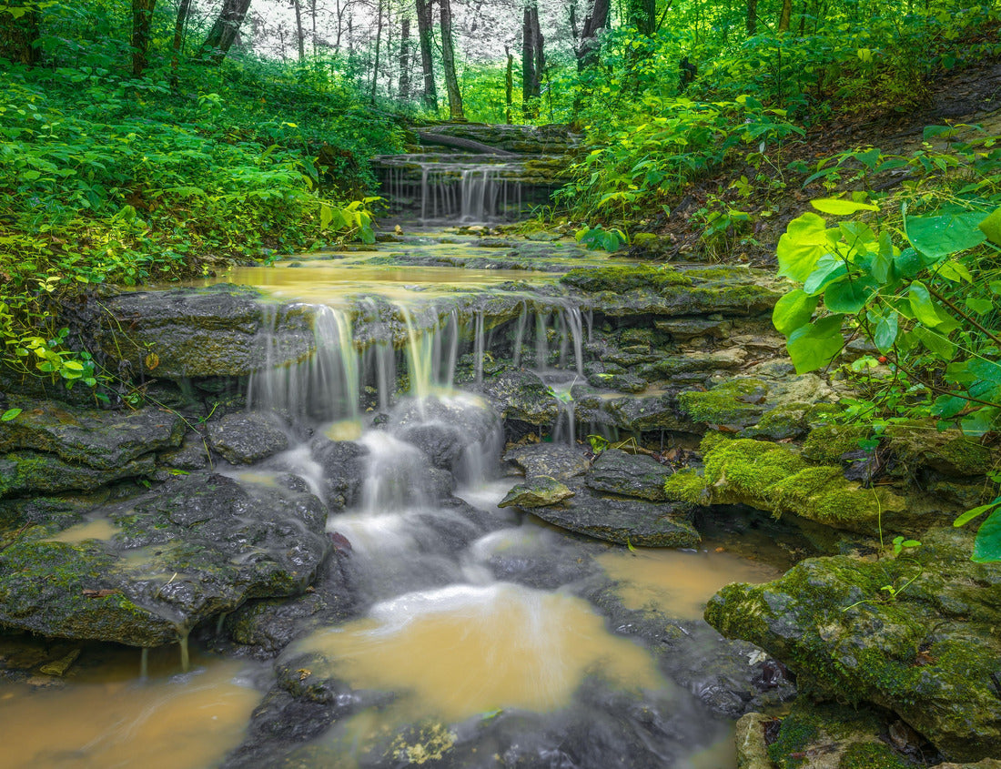 Noah Jigsaw Puzzle A long waterfall with long exposure flowing over rocky areas in Cherokee Park, Louisville, Kentucky, United States 1000 Pieces