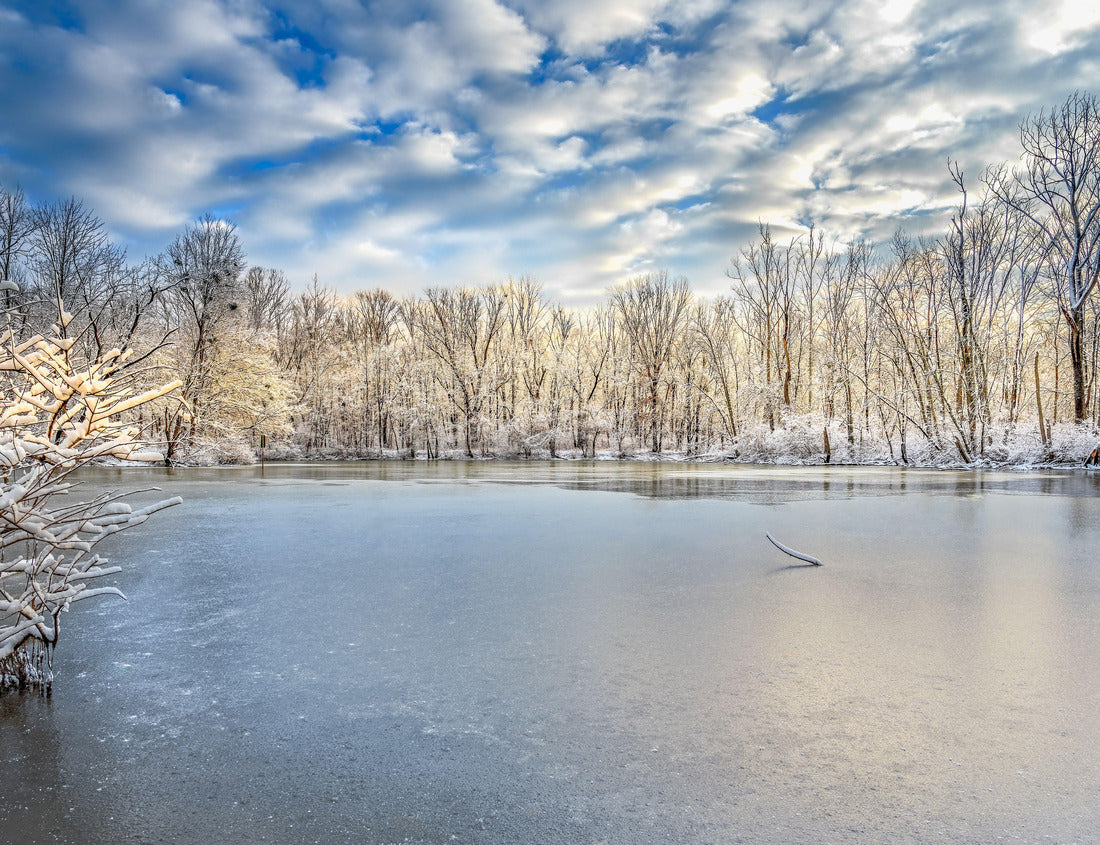 Noah Jigsaw Puzzle A frozen Caperton Swamp Louisville Kentucky at sunrise 1000 Pieces