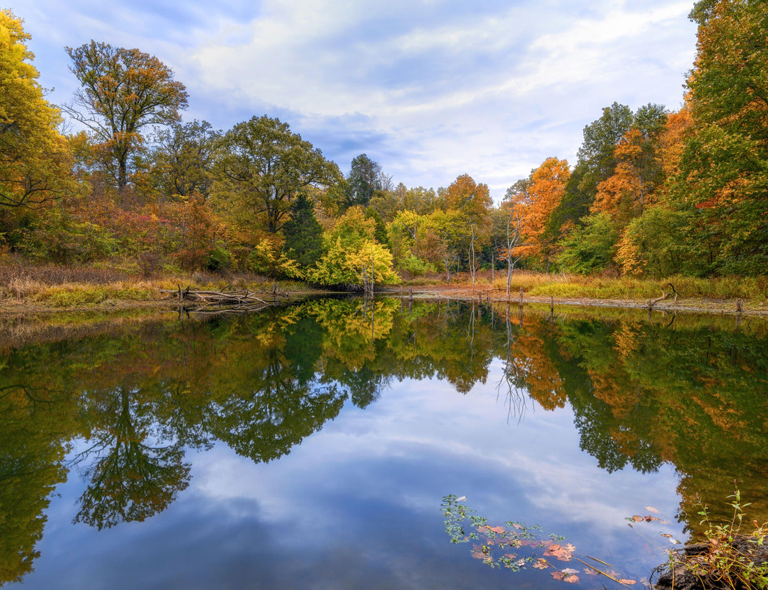 Noah Jigsaw Puzzle A lake surrounding green trees at sunrise in Beckley Brook Park in Louisville, Kentucky 1000 Pieces