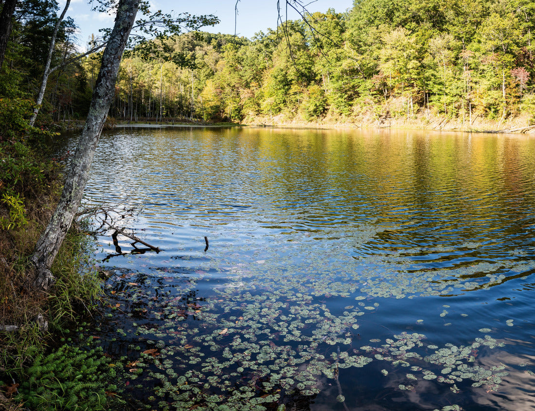 Noah Jigsaw Puzzle Panoramic view of Eagle Lake in Morehead, Kentucky in fall 1000 Pieces