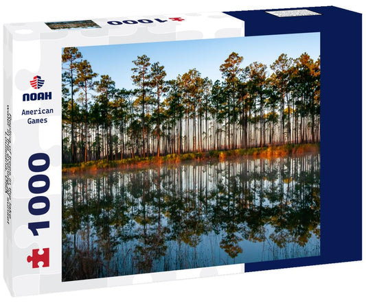 Noah Jigsaw Puzzle Replica of trees in the lake water in the evening at sunset, Louisiana, USA 1000 Pieces