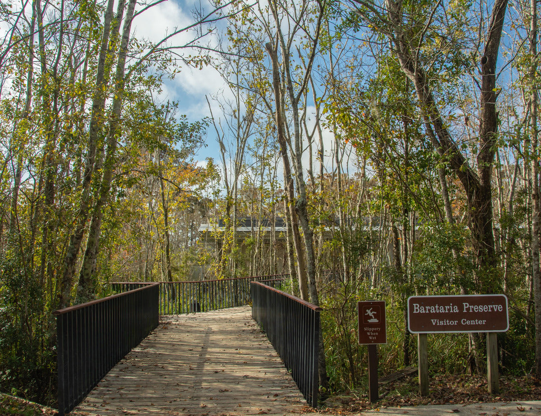 Noah Jigsaw Puzzle Boardwalk through the wild Louisiana swamp and marsh at Barataria Preserve outside Marrero near New Orleans, USA 1000 Pieces