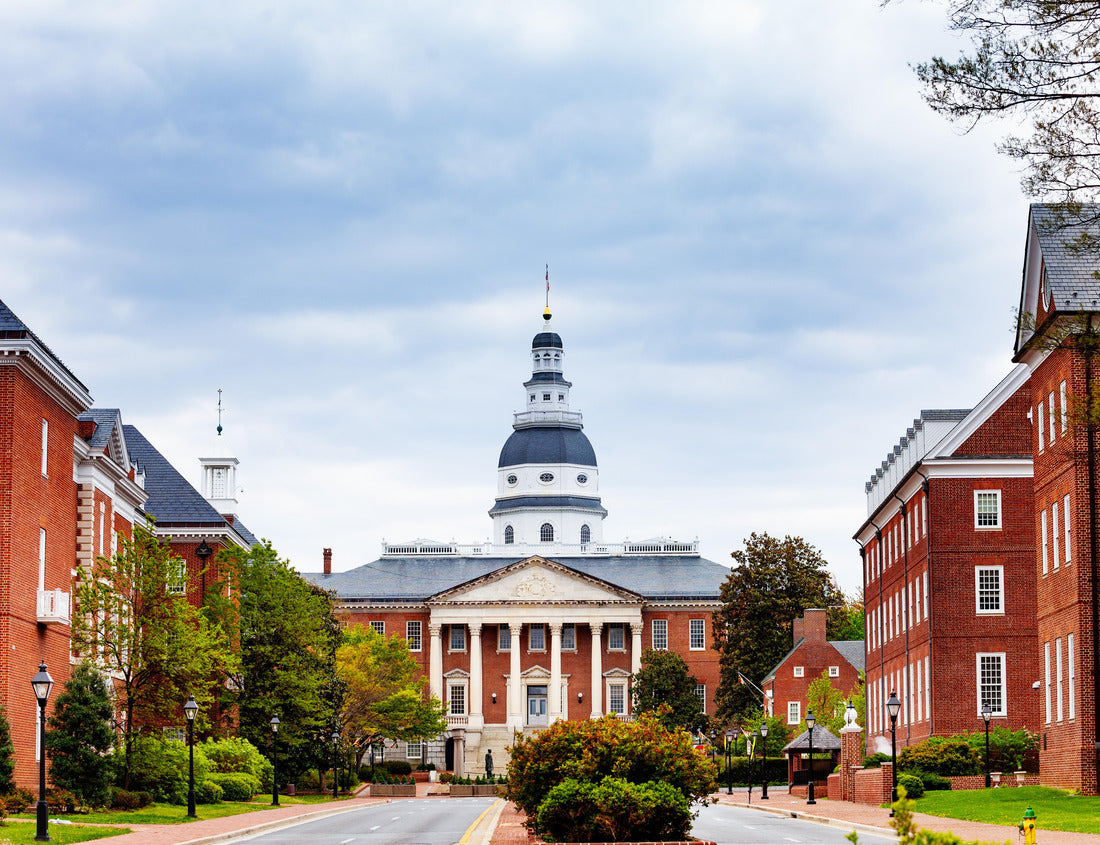 Noah Jigsaw Puzzle Bladen Street above the Maryland State House Main building and site of many historic events was built in 1779 in Annapolis MA, USA 1000 Pieces