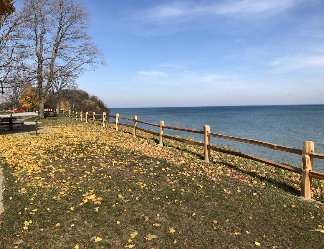 Noah Jigsaw Puzzle Shoreline in Sanilac County Michigan on Lake Huron 1000 Pieces