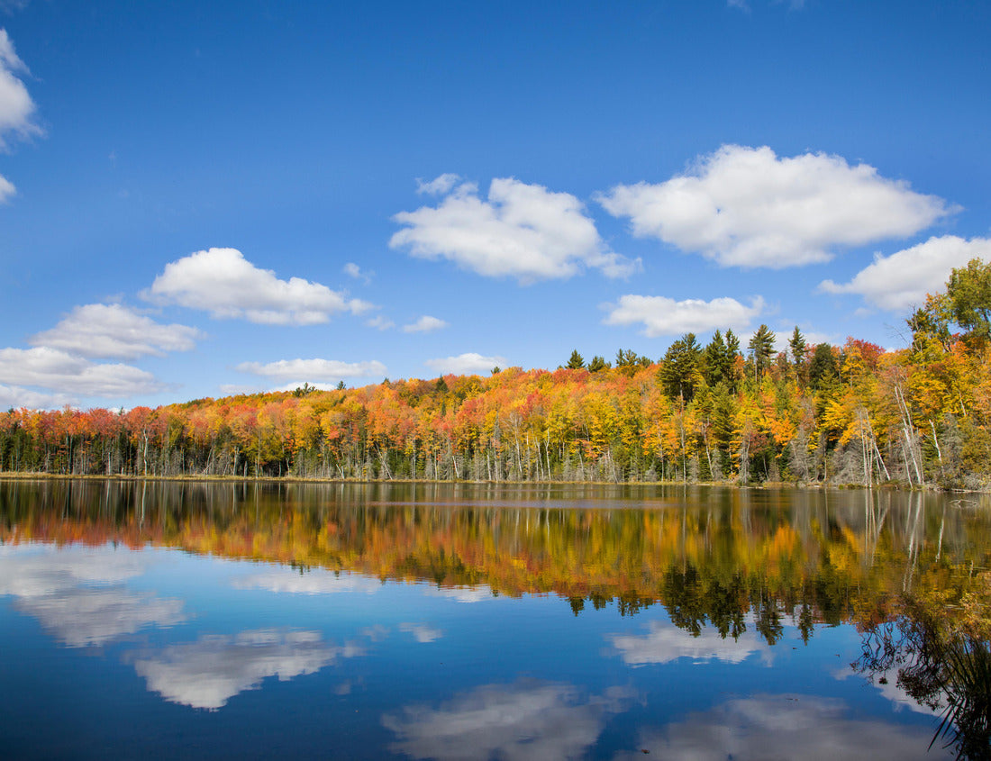 Noah Jigsaw Puzzle Pete's Lake in fall color Schoolcraft County, Upper Peninsula, Michigan 1000 Pieces