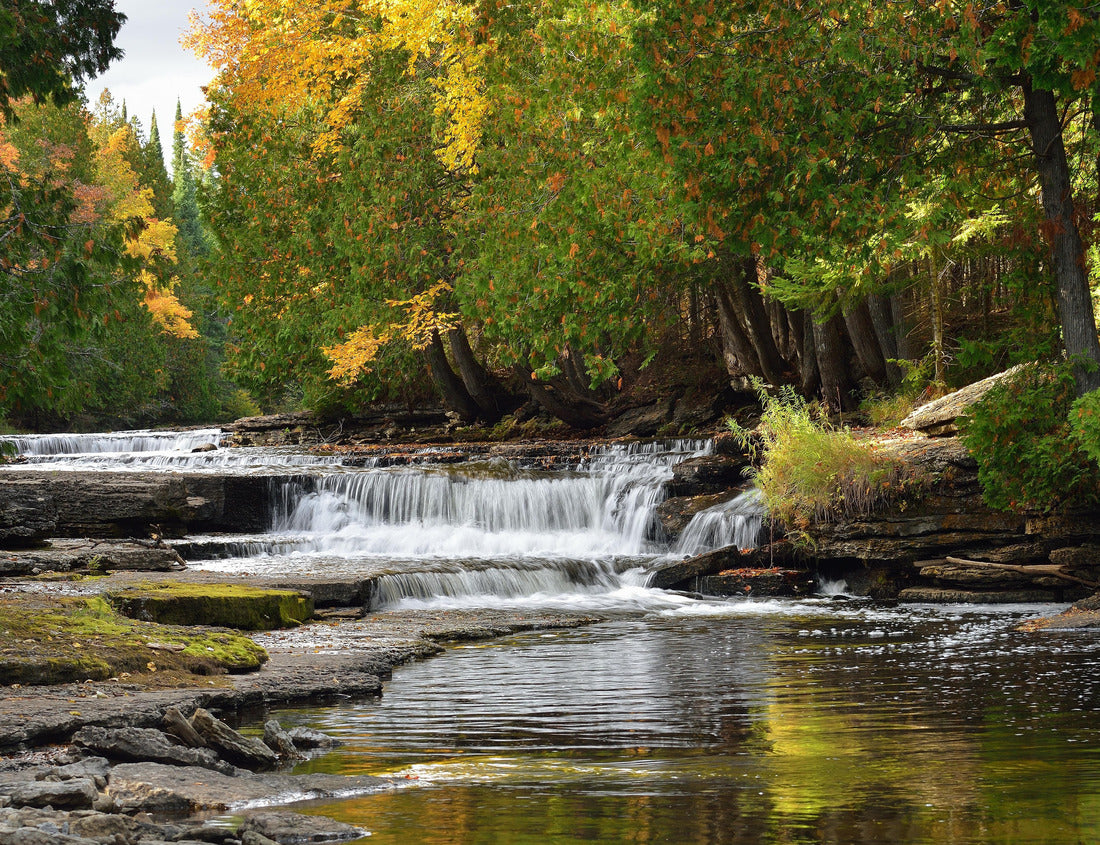Noah Jigsaw Puzzle Whitefish Falls Michigan Autumn Waterfall 1000 Pieces