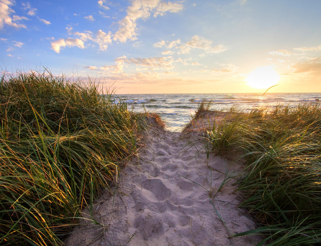 Noah Jigsaw Puzzle Path to a sunny beach. Sandy beach path leads to a sunny summer horizon over the open waters of Lake Michigan. Hoffmaster State Park. Muskegon, Michigan 1000 Pieces