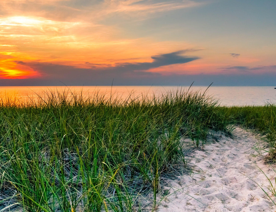 Noah Jigsaw Puzzle Lake Michigan Sunset 1000 Pieces