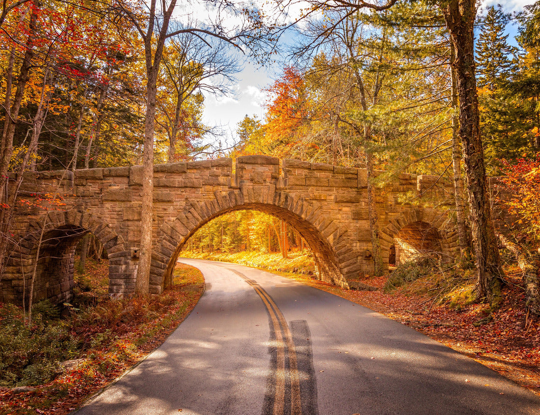 Noah Jigsaw Puzzle The Stanley Brook Bridge in Acadia National Park on a sunny fall day 1000 Pieces