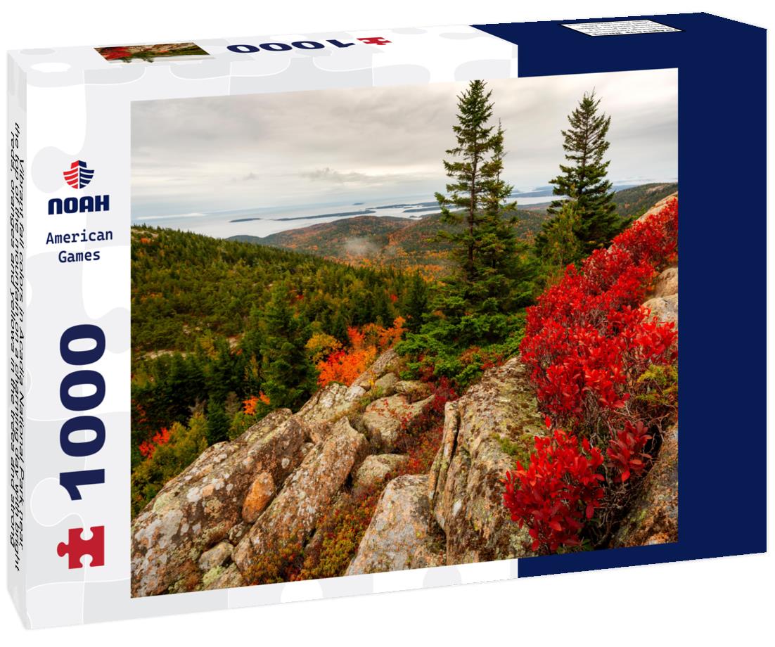 Noah Jigsaw Puzzle Vibrant fall colors in Acadia National Park near the top of the mountain on a charming day with bright reds, oranges and yellows in the trees and strong foreground interest from three trees 1000 Pieces