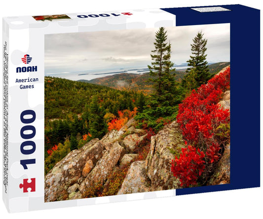 Noah Jigsaw Puzzle Vibrant fall colors in Acadia National Park near the top of the mountain on a charming day with bright reds, oranges and yellows in the trees and strong foreground interest from three trees 1000 Pieces