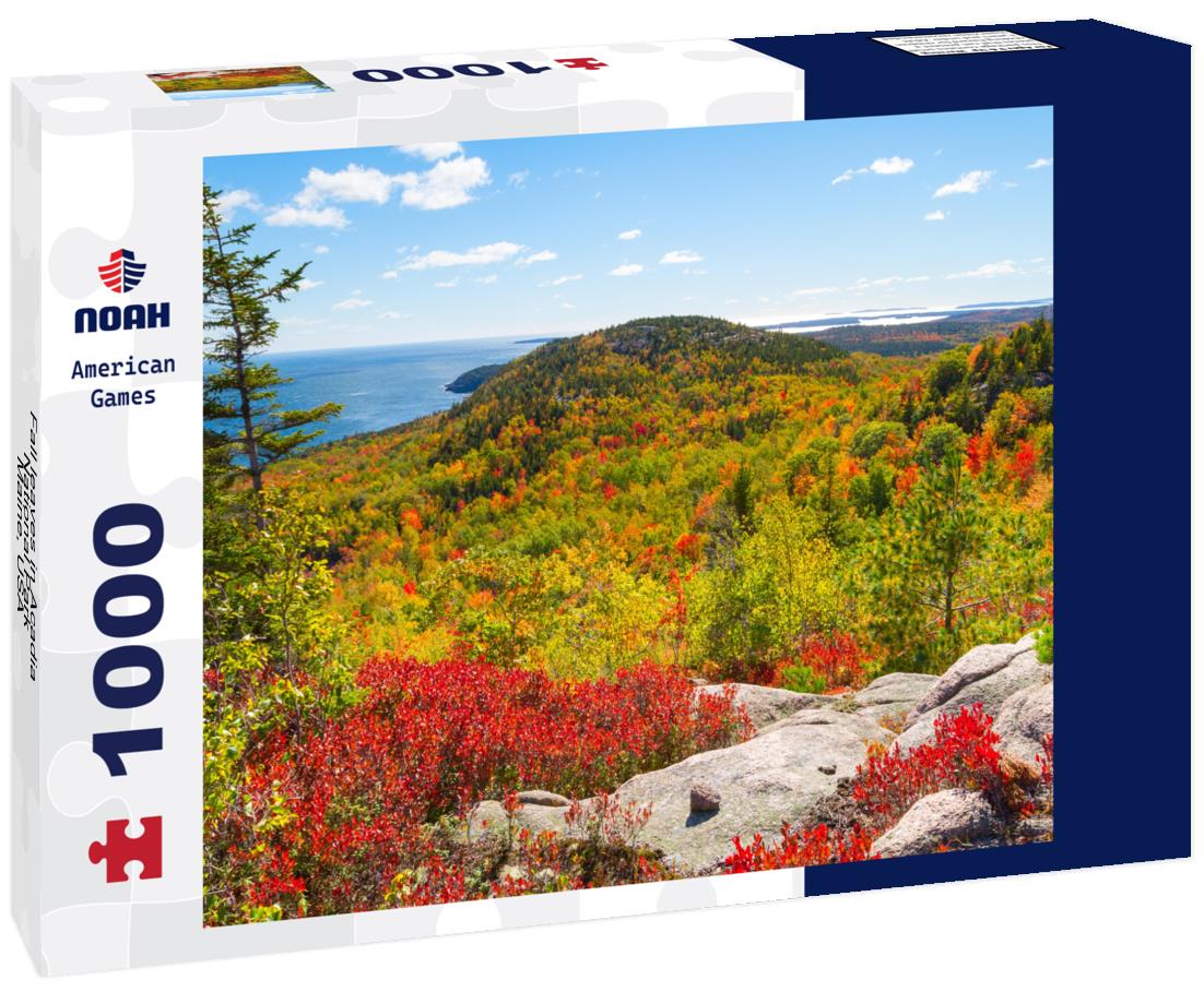 Noah Jigsaw Puzzle Fall leaves in Acadia National Park, Maine, USA 1000 Pieces