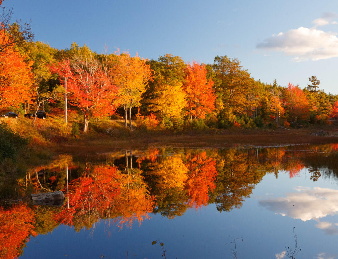 Noah Jigsaw Puzzle Autumn colors in Acadia National Park with bright, colorful trees reflected in the water 1000 Pieces