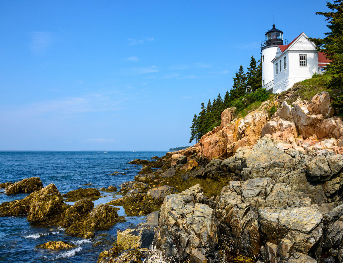 Noah Jigsaw Puzzle Historic lighthouse, Acadia National Park 1000 Pieces