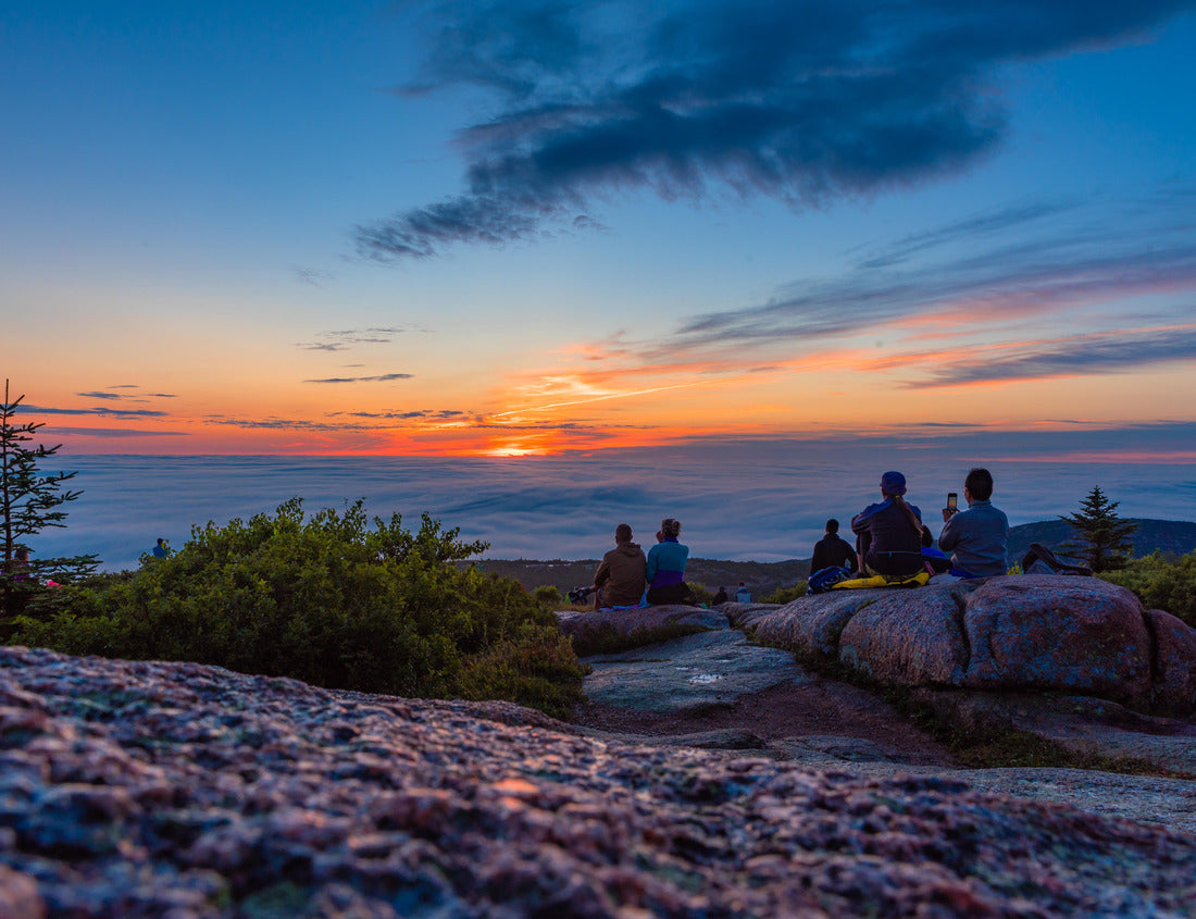 Noah Jigsaw Puzzle View of the Acadia National Park on Maine 1000 Pieces