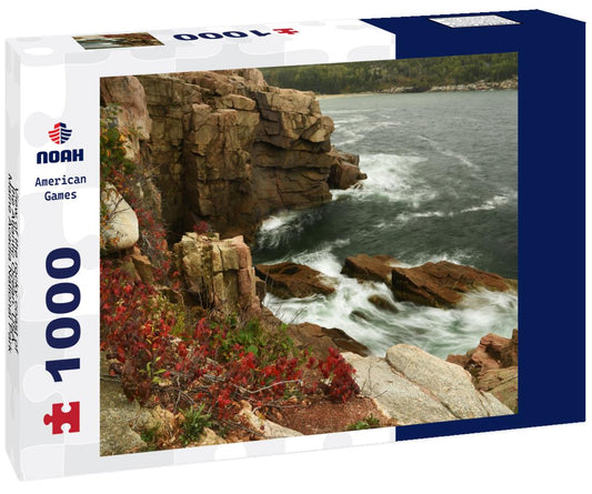 Noah Jigsaw Puzzle View of the rocky coast of the Atlantic Ocean. USA. Maine Acadia National Park 1000 Pieces