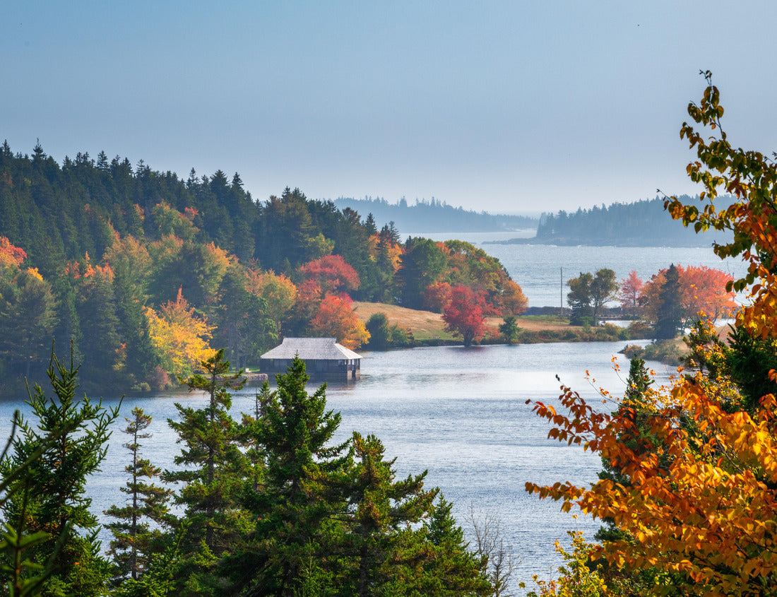 Noah Jigsaw Puzzle Autumn in Acadia National Park, Maine, USA 1000 Pieces