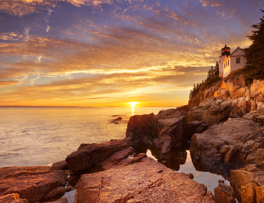 Noah Jigsaw Puzzle The Bass Harbor Head Lighthouse in Acadia National Park, Maine, USA 1000 Pieces