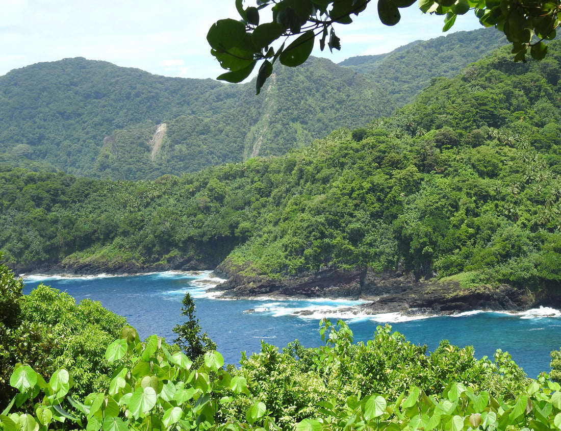 Noah Jigsaw Puzzle Seascape at the National Park of American Samoa 1000 Pieces