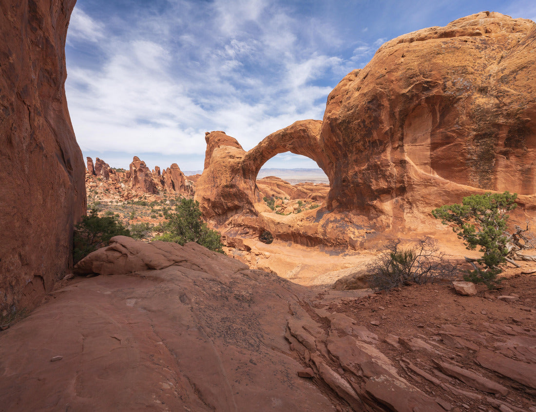Noah Jigsaw Puzzle Hiking the Devil's Gardener Trail in Arches National Park, usa 1000 Pieces
