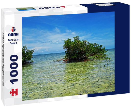 Noah Jigsaw Puzzle View of Biscayne Bay and Mangroves from Boca Chita Key, Biscayne National Park, Florida, USA 1000 Pieces