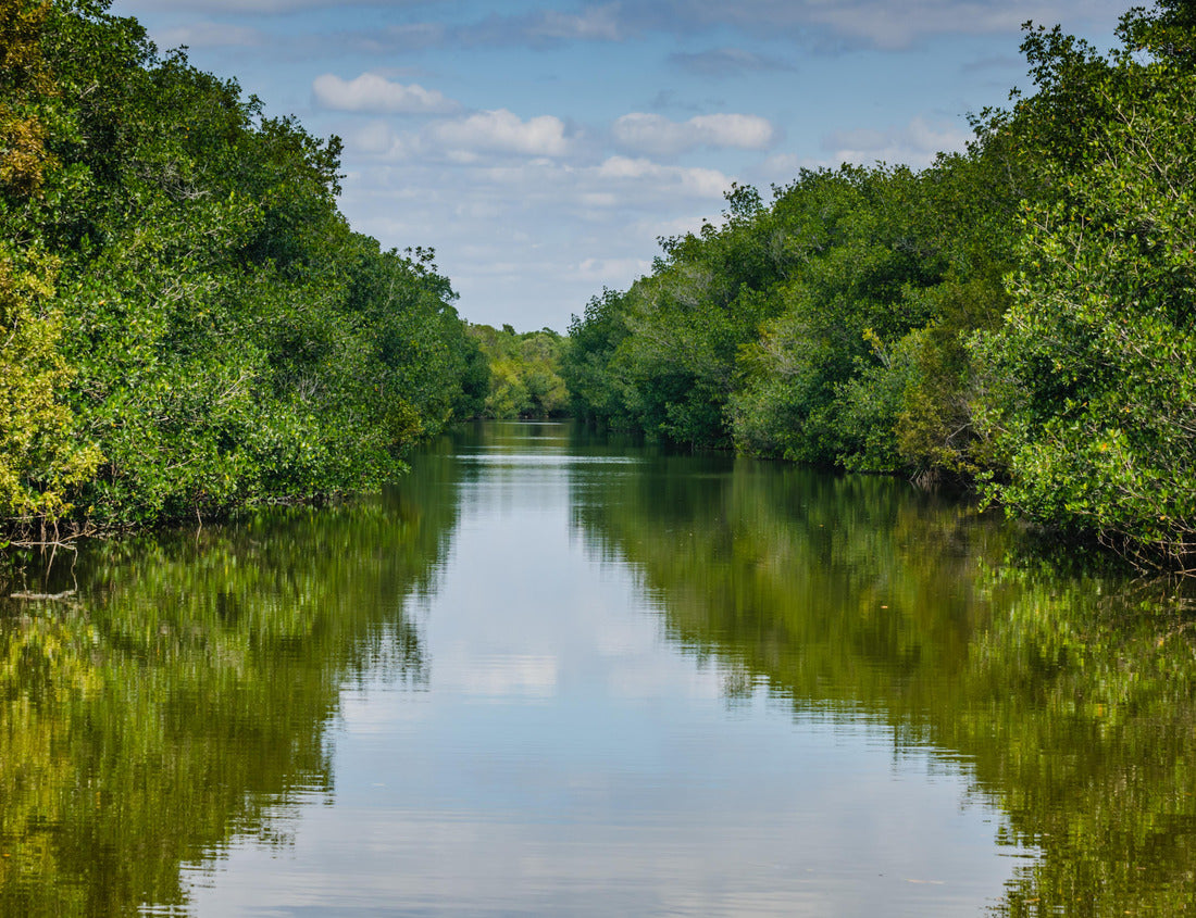 Noah Jigsaw Puzzle Sky and trees reflected on the lagoon at Biscayne National Park 1000 Pieces