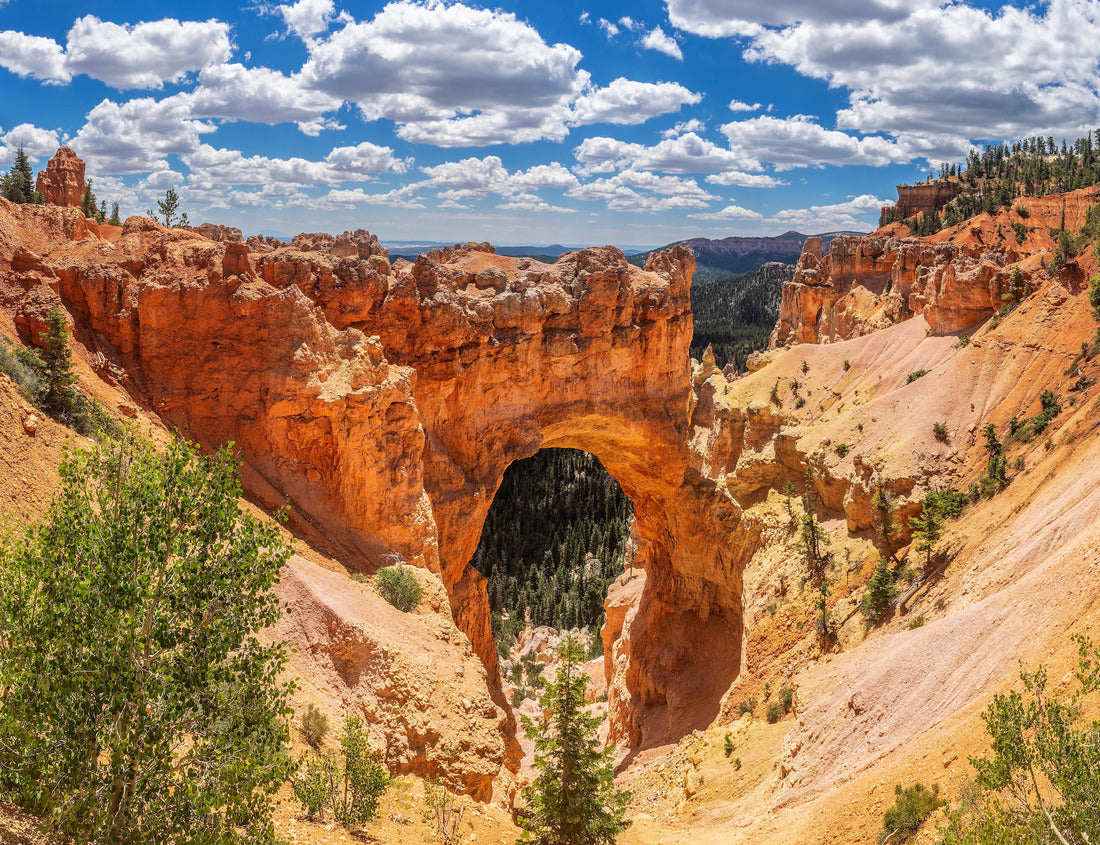 Noah Jigsaw Puzzle Bryce Canyon National Park in Utah, USA 1000 Pieces