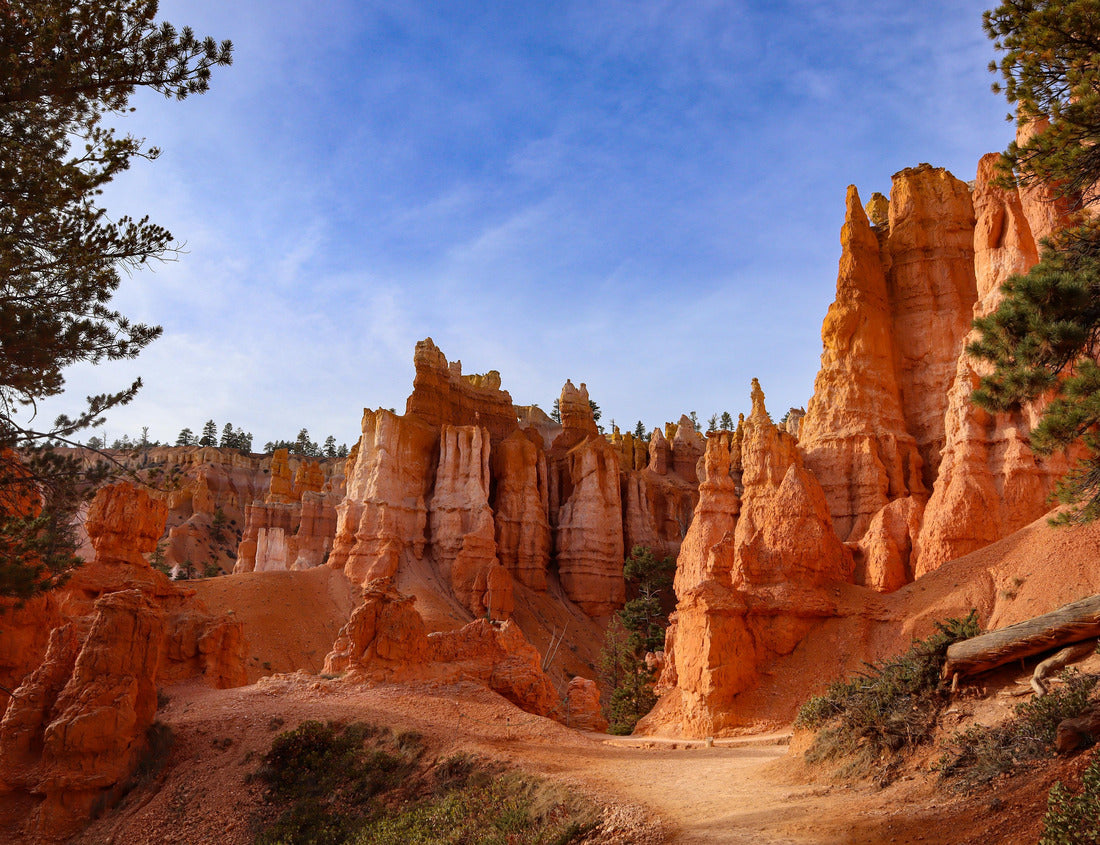 Noah Jigsaw Puzzle An autumn day in Bryce Canyon National Park 1000 Pieces