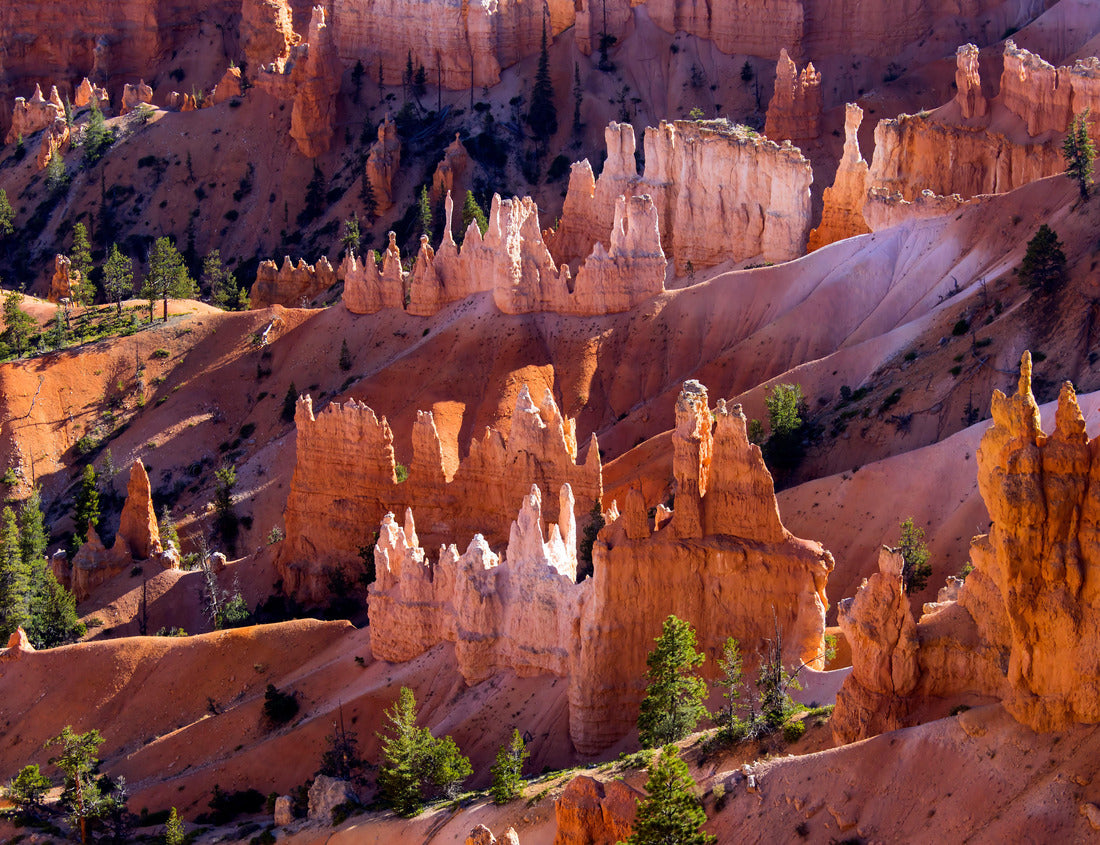 Noah Jigsaw Puzzle Bryce Canyon National Park in Utah, one of the most beautiful national parks in the world 1000 Pieces