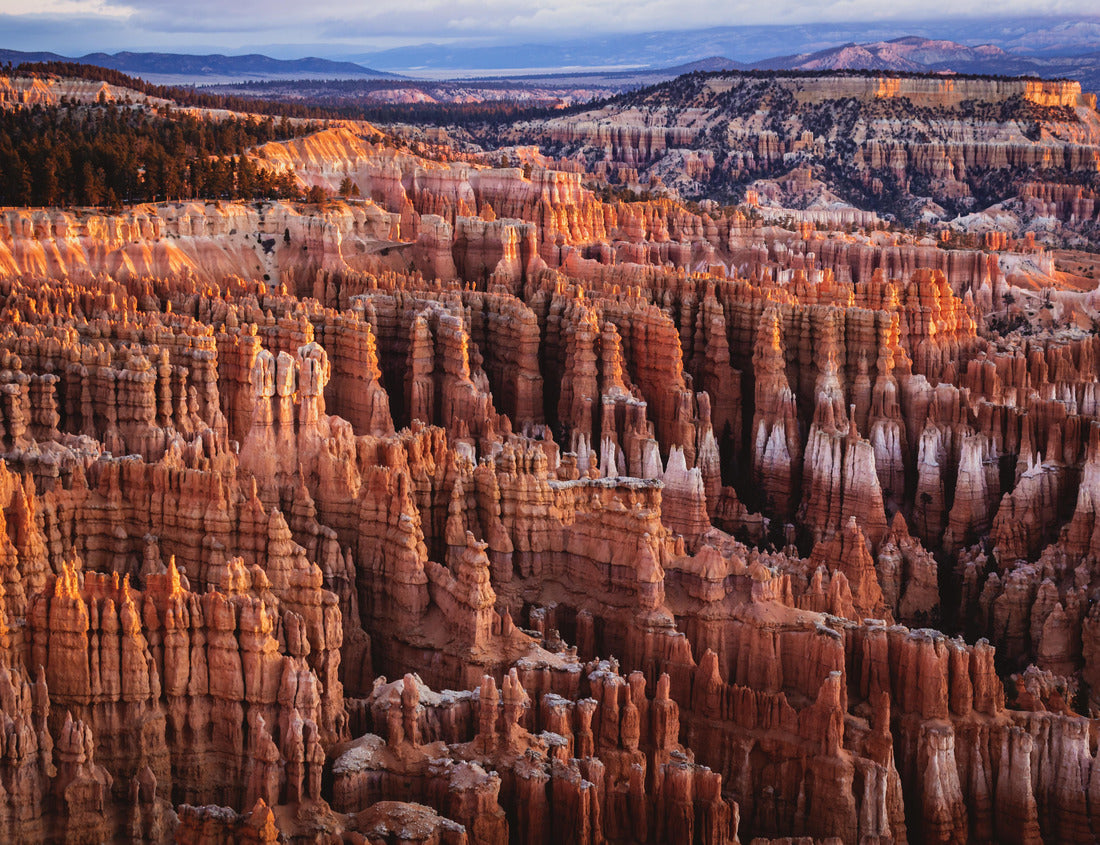 Noah Jigsaw Puzzle Bryce Canyon National Park in Utah Viewed from Inspiration Point at Sunrise 1000 Pieces